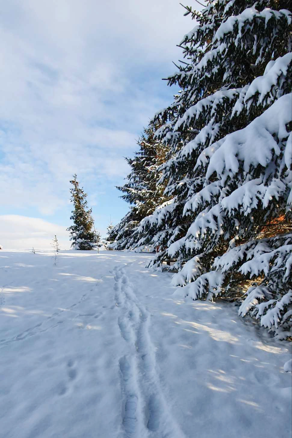 vylety zdarské vrchy